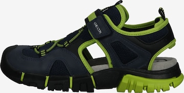 Chaussures ouvertes GEOX en bleu