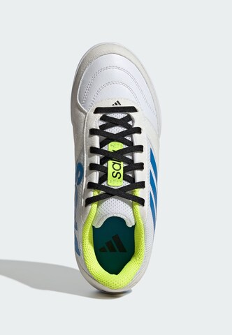 Chaussure de sport 'Top Sala Competition II' ADIDAS PERFORMANCE en blanc