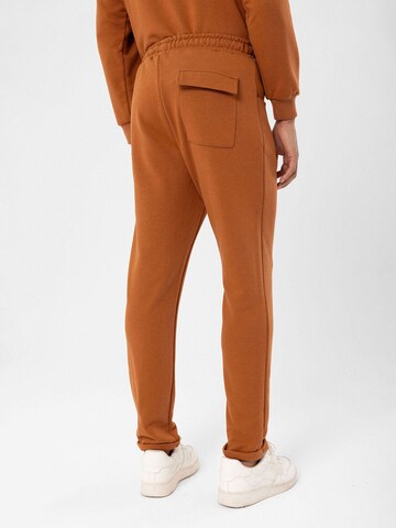Antioch Regular Trousers in Brown