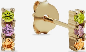 ESPRIT Earrings in Gold: front