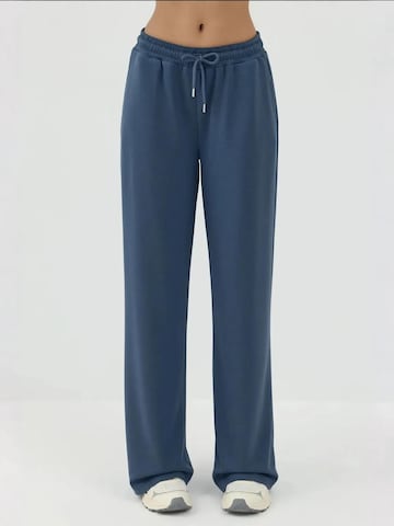 Hiccup Broek in Blauw: voorkant