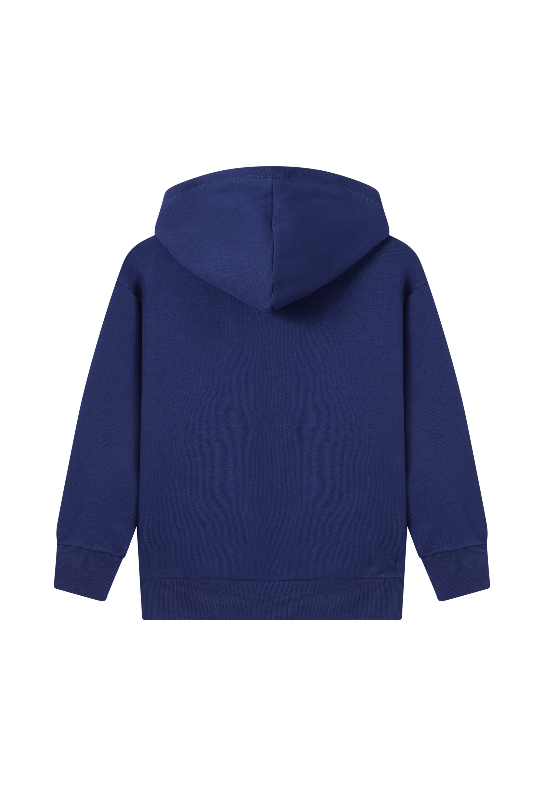 Champion Authentic Athletic Apparel Sweatshirt in Blue
