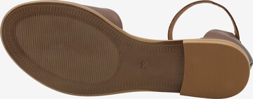 DreiMaster Vintage Sandale in Braun