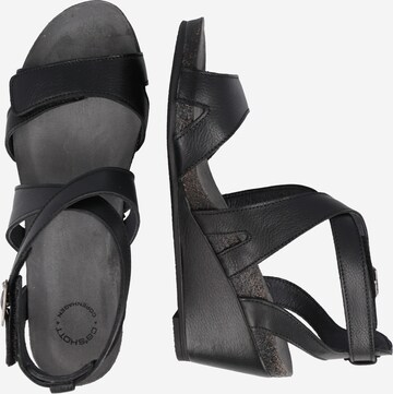 Ca'Shott Strap Sandals in Black