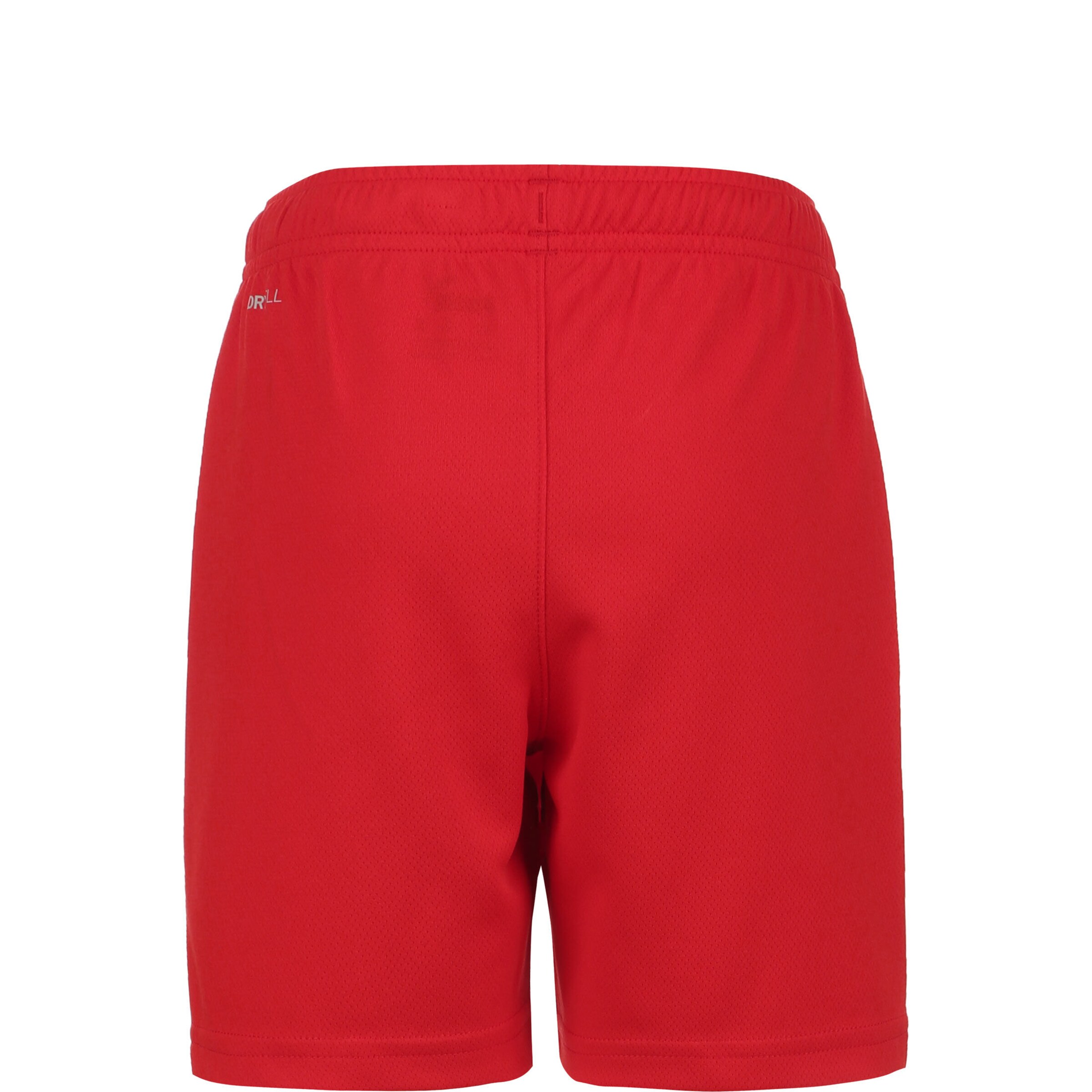 Regular Pantalon de sport 'TeamRise' PUMA en rouge