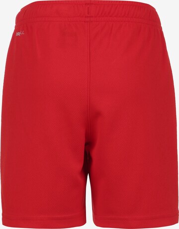 PUMA Regular Sportbroek 'TeamRise' in Rood