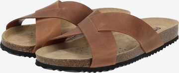 GEOX Mules in Brown