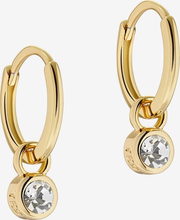 Boucles d'oreilles 'SINALAA' Ted Baker en or : devant