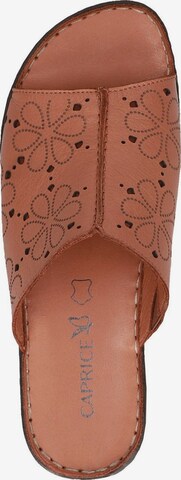 CAPRICE Mules in Brown