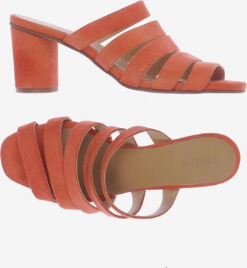 EDITED Sandals & High-Heeled Sandals in 37 in Orange: front