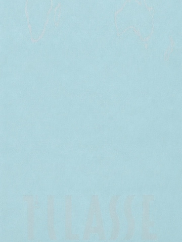 Sciarpa di Alviero Martini in blu