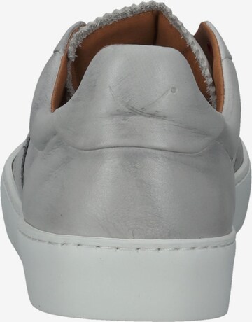 SANSIBAR Sneakers in Grey