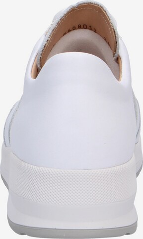 Finn Comfort Sneakers laag in Wit: voorkant