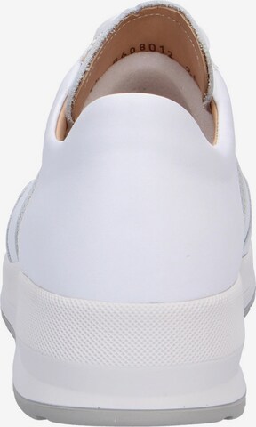 Finn Comfort Sneakers in White: front