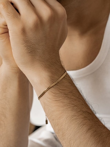 Hey Happiness Armband 'Serpent Flat' in Gold