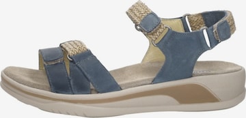 Sandales 'Acula Gobi' Wolky en bleu : devant