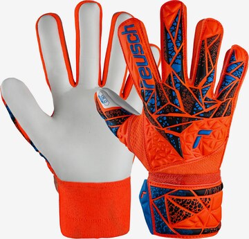 REUSCH Athletic Gloves 'Attrakt Starter Solid Finger Support' in Orange: front