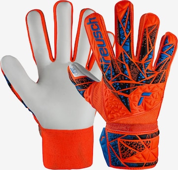 REUSCH Torwarthandschuh 'Attrakt Starter Solid Finger Support' in Orange: Vorderseite