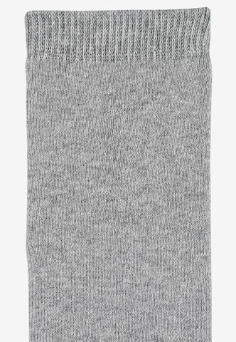 STERNTALER Regular Socks in Grey