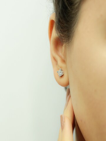 EinStein Diamant Earrings in Silver: front