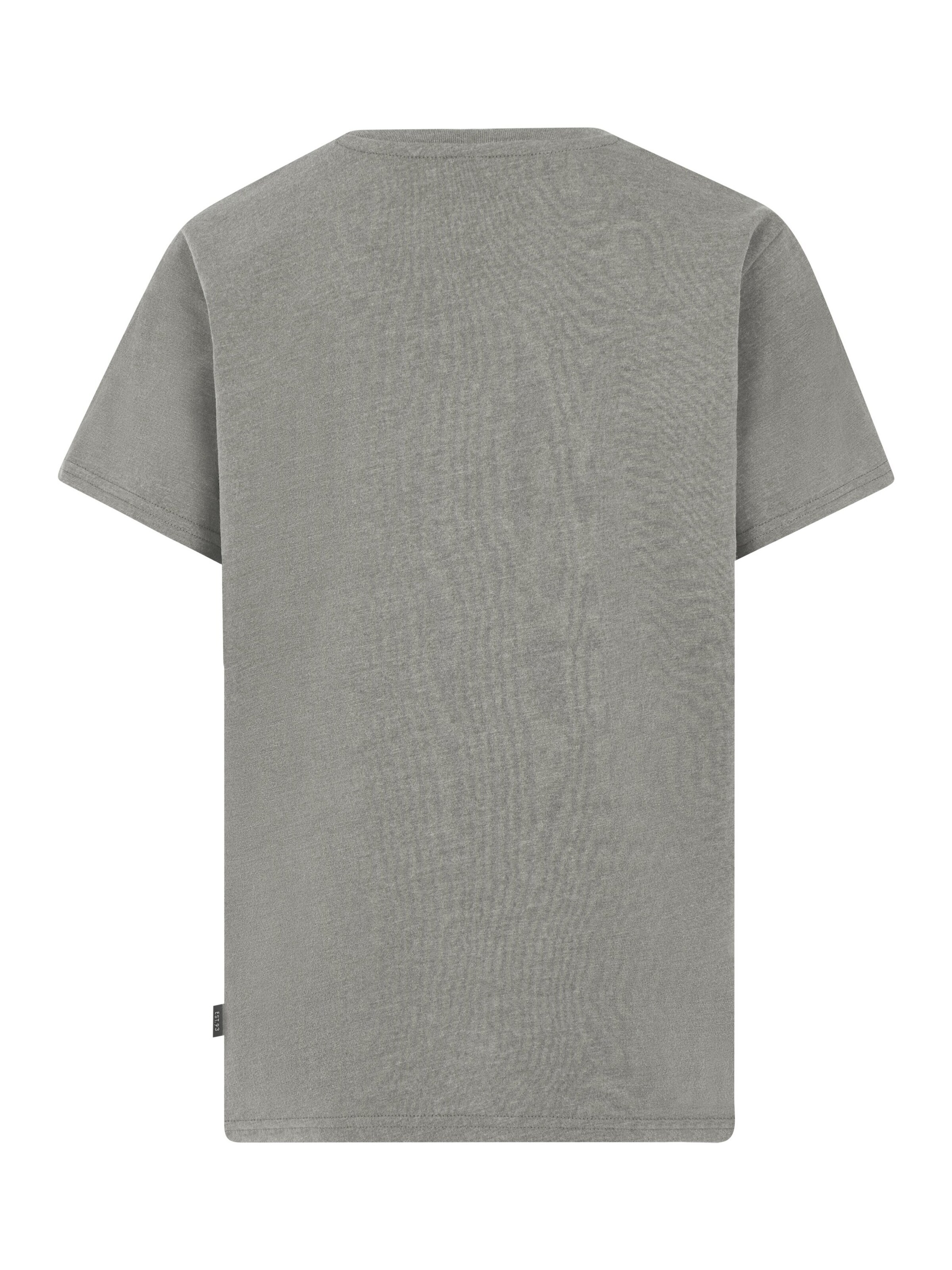 PROTEST Shirt 'PRTHunt JR'‌ in Grau