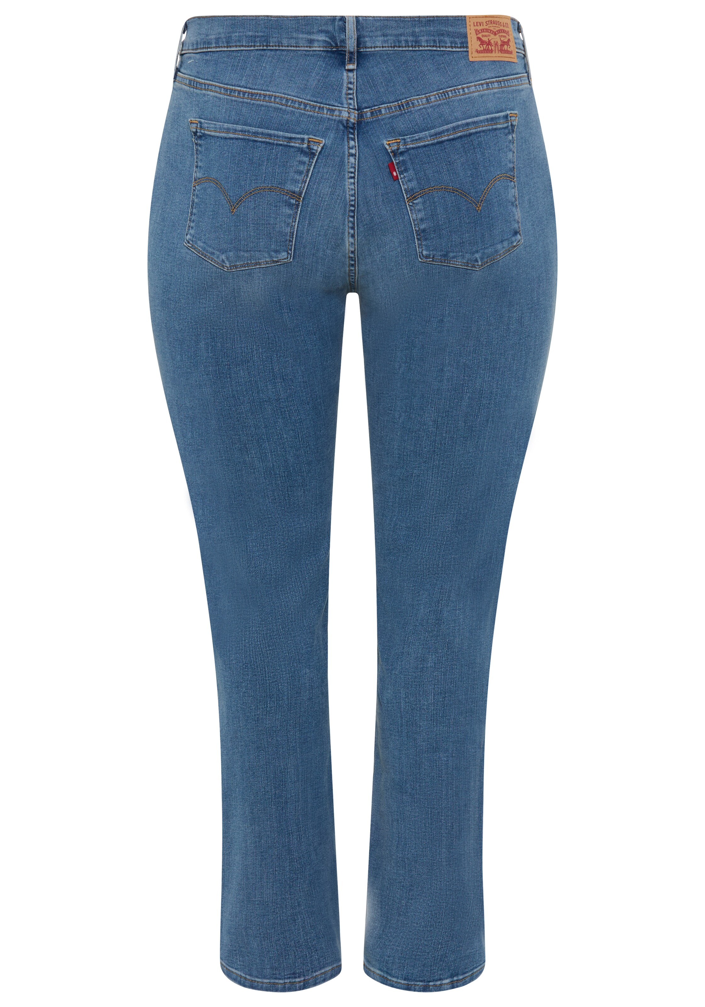Levi's® Plus Regular Jeans in Blue