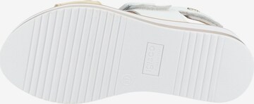 IGI&CO Sandals in White