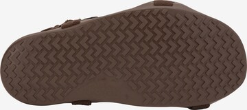 Xero Shoes Sandale 'Z-Trek' in Braun