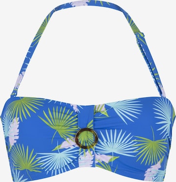 Bandeau Hauts de bikini LingaDore en bleu : devant