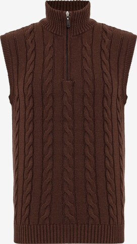 Pull-over Felix Hardy en marron : devant