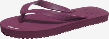 Tongs FLIP*FLOP en violet : devant