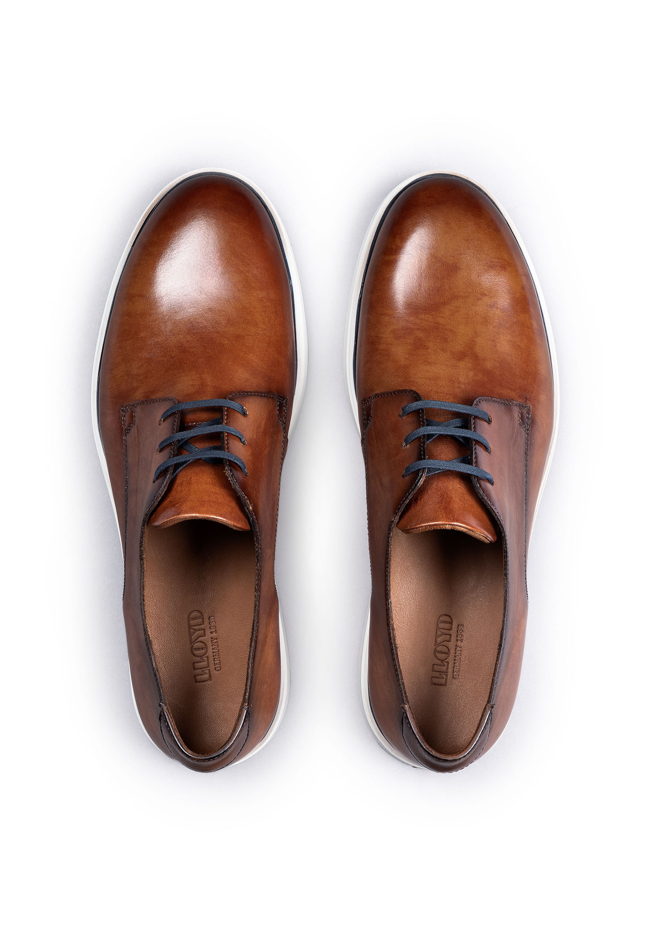 Scarpa stringata di LLOYD in marrone