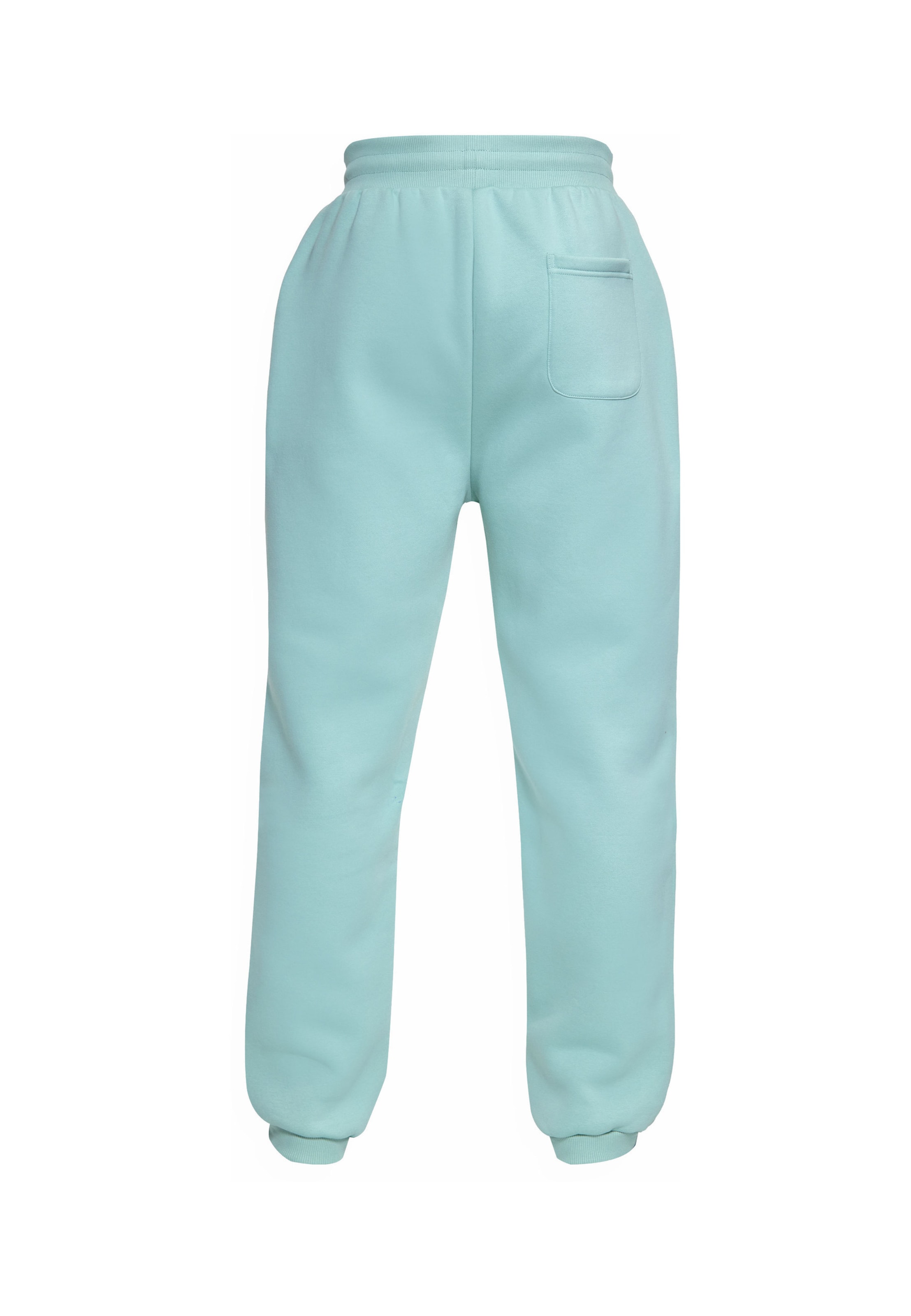 Dropsize Regular Broek in Blauw