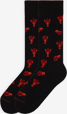 Von Jungfeld Socks 'Best of Icons' in Black: front