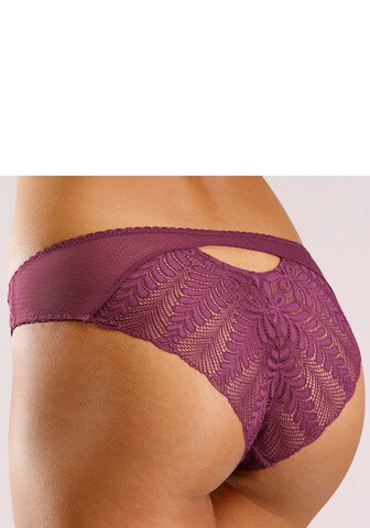 LASCANA Panty in Purple