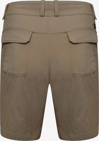 DARE2B Regular Outdoor Pants 'Tuned In ' in Brown