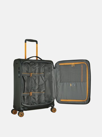 Trolley di Roncato in verde
