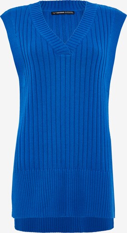 Threadbare Pullover 'Chandler' in Blau: predná strana