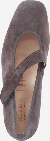 HASSIA Pumps in Grey