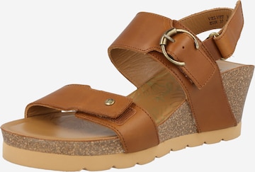 PANAMA JACK Strap Sandals in Brown: front