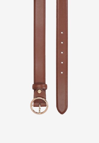 Kazar Belt in Brown