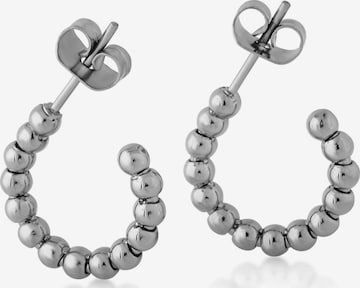 Akitsune Earrings 'Delight' in Silver: front