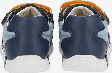 GEOX Sneakers in Blauw