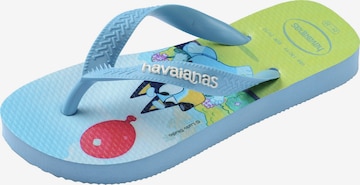 HAVAIANAS - Sapatos abertos 'Bluey' em azul: frente