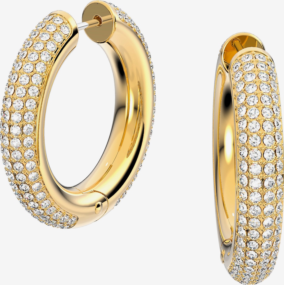 Swarovski Orecchini 'Dextera'