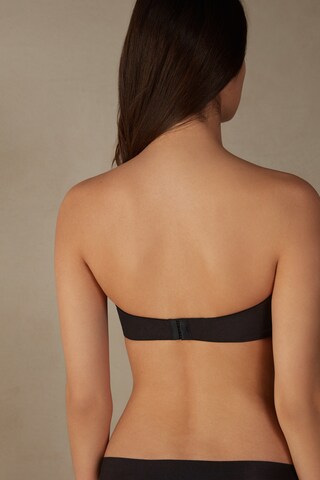 INTIMISSIMI Bandeau Bra in Black