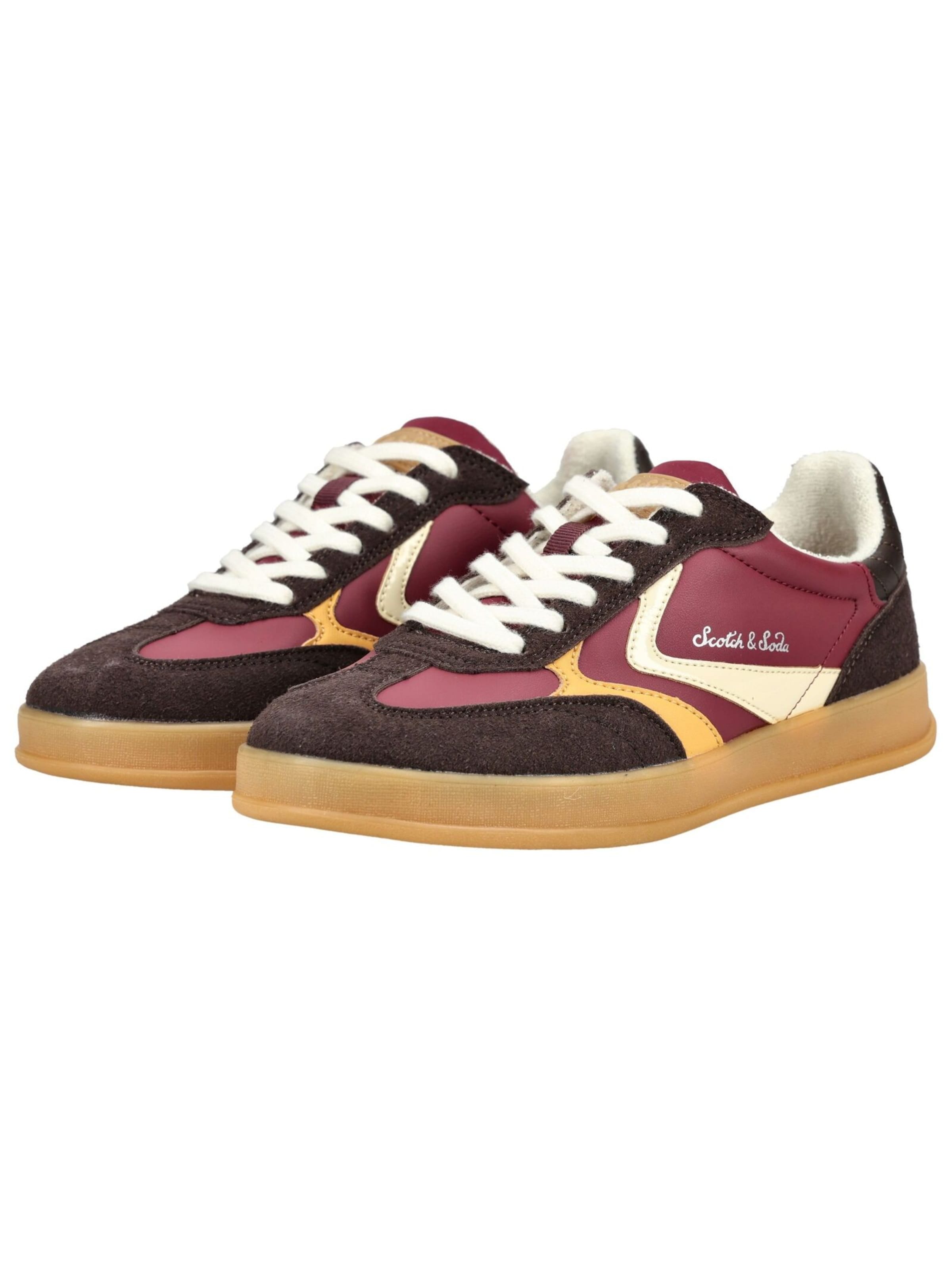 Baskets basses SCOTCH & SODA en marron