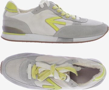 Energie Sneakers & Trainers in 40 in Grey: front