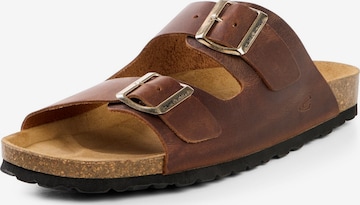CAMEL ACTIVE Mules in Brown: front