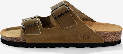 Sandalai iš Bayton, spalva – rusvai žalia, Prekių apžvalga